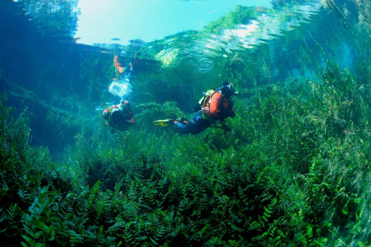 Casa Rosamari - Su Lago Di Posta Fibreno, Appartamento Con Camino Zewnętrze zdjęcie
